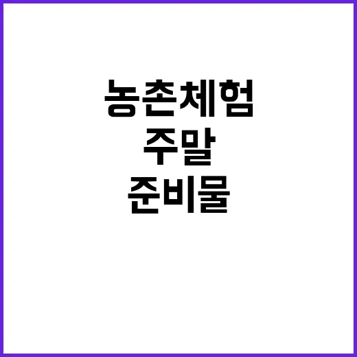 주말에 농촌체험 다녀와봤더니 생각보다 준비물이 중요했다 - 요약