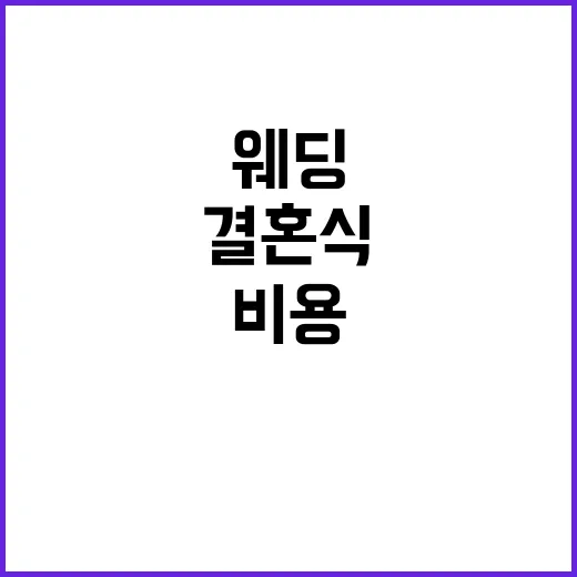 친구 결혼식 준비를 옆에서 도와봤더니 웨딩 비용의 진짜 구멍이 보였다 - 요약