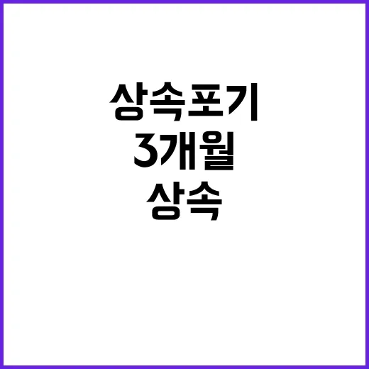 상속포기 직접 알아보다가 알게 된 3개월의 진짜 무게 - 요약
