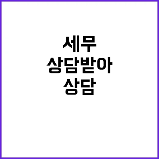 세무상담 받아봤더니, 질문 하나 제대로 준비하는 게 반이었다 - 요약
