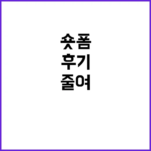 숏폼 끊어보려다 실패하고, 대신 사용 시간을 줄여본 진짜 후기 - 요약