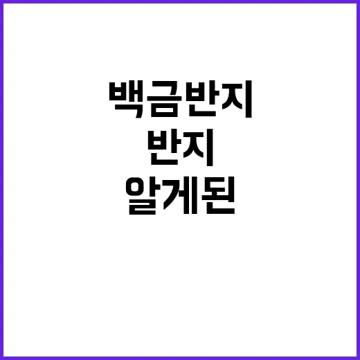 백금반지 직접 끼고 지내보니 알게 된 의외의 장단점 - 요약