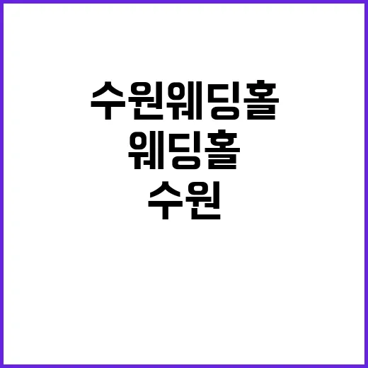 수원웨딩홀 상담 몇 군데 받아봤더니 보이던 진짜 차이 - 요약