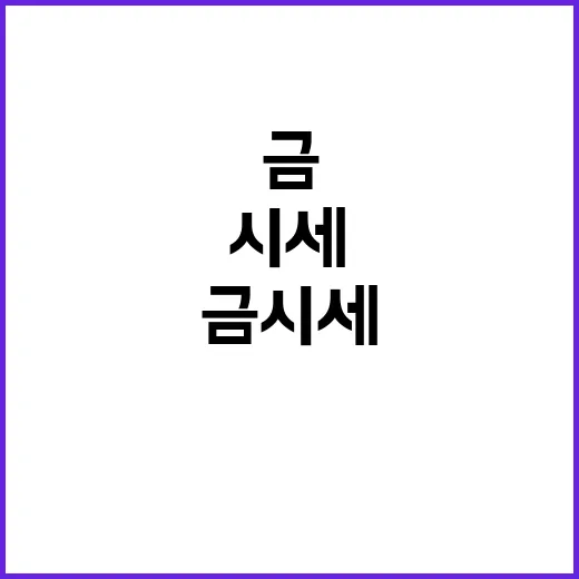 금시세전망 보려고 가격표를 며칠 들여다봤더니 알게 된 것들 - 요약