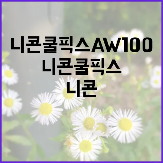 니콘 쿨픽스 AW100을 다시 꺼내 써봤더니, 스마트폰이 못 하는 일이 있었다 - 요약