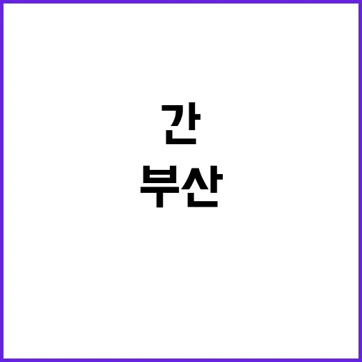 펫앤모어 부산 직접 가봤더니, 빈손으로 가면 더 많이 사게 되는 곳이었다 - 요약
