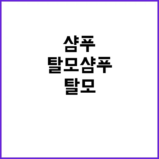 탈모샴푸 한 통 비워봤더니, 머리카락보다 먼저 보인 것들 - 요약