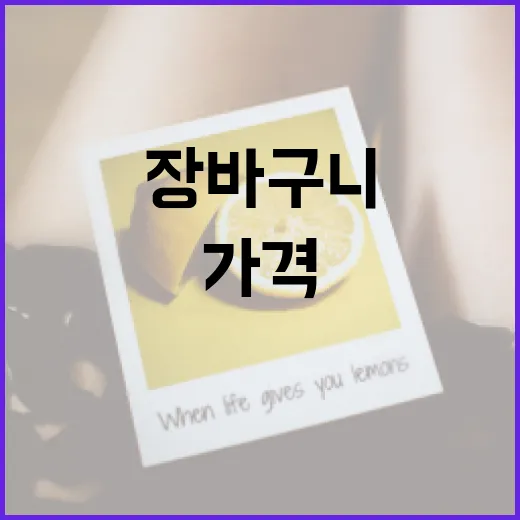 rx10m5 가격 찾아보다가 장바구니를 닫았다가 다시 연 이야기 - 요약