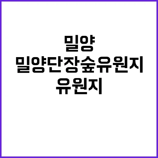 밀양 단장숲유원지, 조용한 물가 쉼터로 괜찮은지 따져본 이야기 - 요약