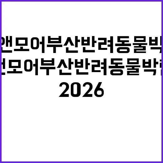2026 펫앤모어 부산 반려동물 박람회 7월, 가기 전 동선부터 짐까지 직접 따져본 이야기 - 요약