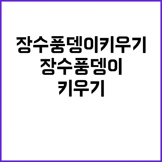 장수풍뎅이 키우기 직접 해봤더니, 생각보다 손이 많이 가는 순간들 - 요약