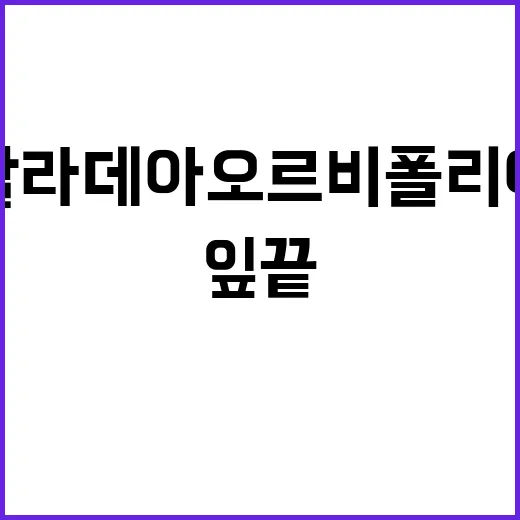 칼라데아 오르비폴리아를 거실에 들여봤더니 잎끝부터 집 습도까지 보이기 시작했다 - 요약