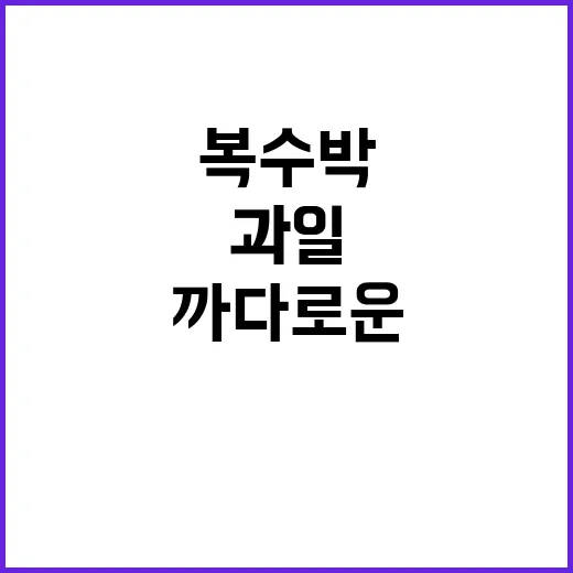 복수박 하나 사서 잘라봤더니, 작은데 은근히 까다로운 과일이었다 - 요약