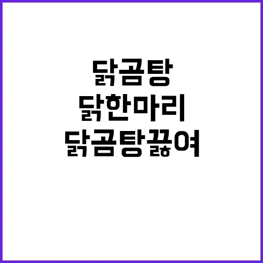 닭 한 마리로 닭곰탕 끓여봤더니, 밖에서 사 먹던 맛이 꽤 가까워졌다 - 요약