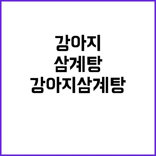 강아지 삼계탕 직접 끓여 먹여봤더니, 사람 삼계탕이랑 완전히 달랐다 - 요약