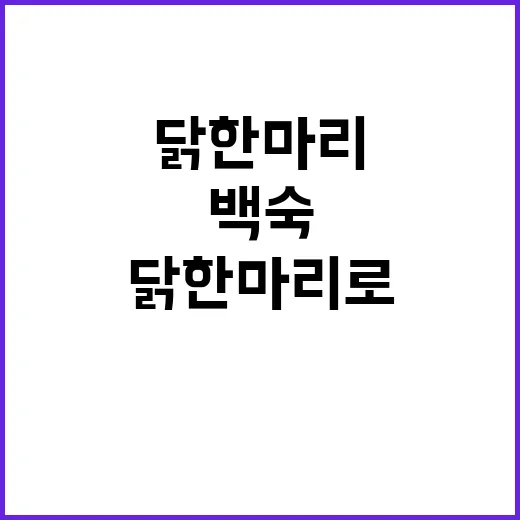 닭 한 마리로 백숙 끓여봤더니, 생각보다 맛을 가른 건 시간이 아니었다 - 요약