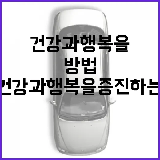 필랑트를 활용하여 건강과 행복을 증진하는 방법 - 요약