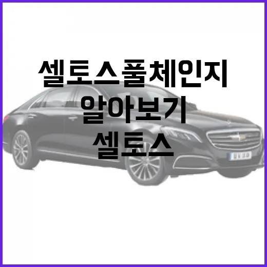 셀토스 풀체인지 알아보기: 무엇이 새로워졌을까? - 요약