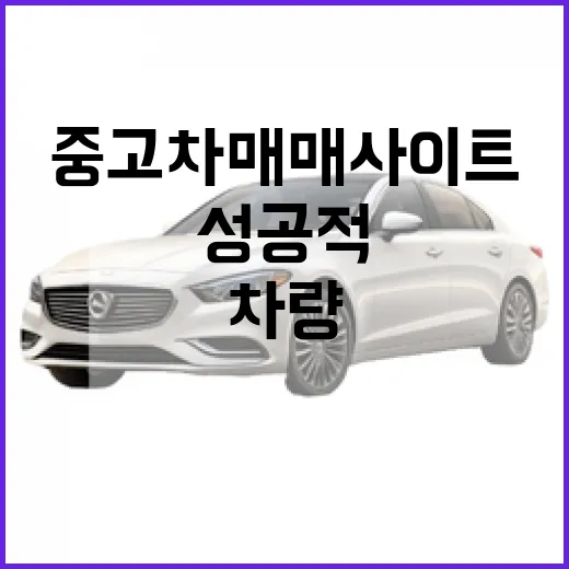 중고차매매사이트에서 성공적으로 차량 구매하는 방법 - 요약