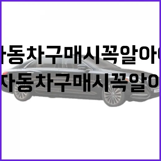중고 자동차 구매 시 꼭 알아야 할 팁 - 요약