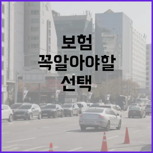 보험을 선택하는 방법: 꼭 알아야 할 팁과 요령 - 요약