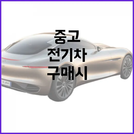 전기차 중고 구매 시 알아야 할 필수 정보 - 요약