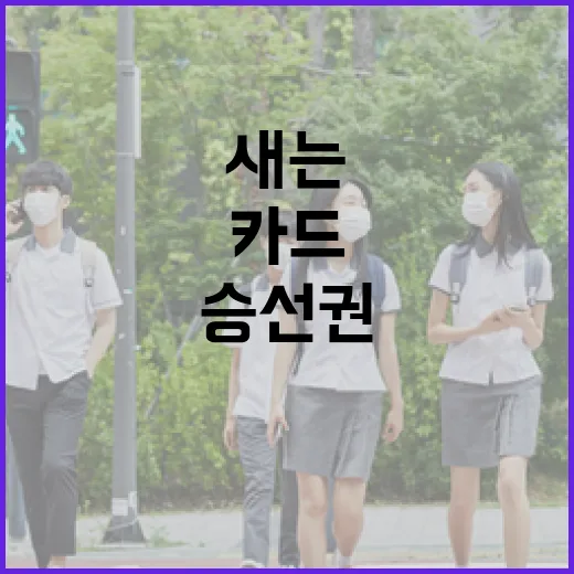 씨라이언6 타려면 이렇게: 승선권, 교통카드, 주차비까지 덜 새는 방법 - 요약