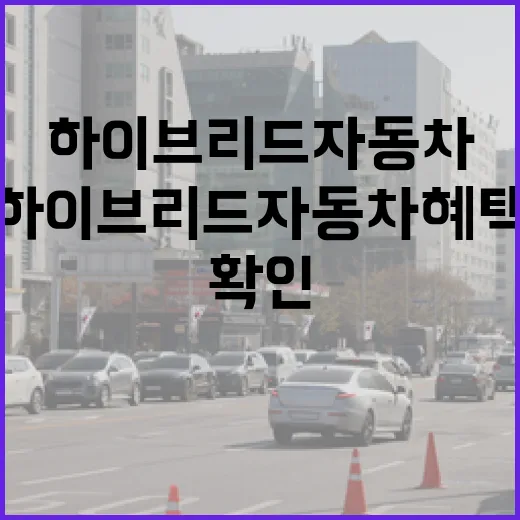 하이브리드자동차 혜택 챙기려면 이렇게 확인하세요 - 요약