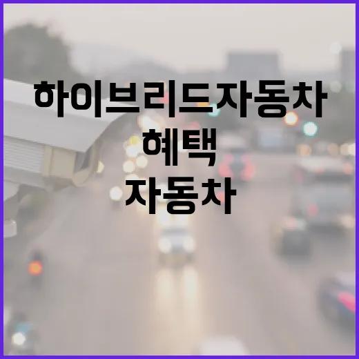 하이브리드자동차 혜택 받는 방법, 하이패스·주차 할인에서 헷갈리지 않으려면 이렇게 - 요약