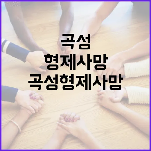 곡성 형제 사망 검색 후 이동해야 할 때 확인하는 방법 - 요약