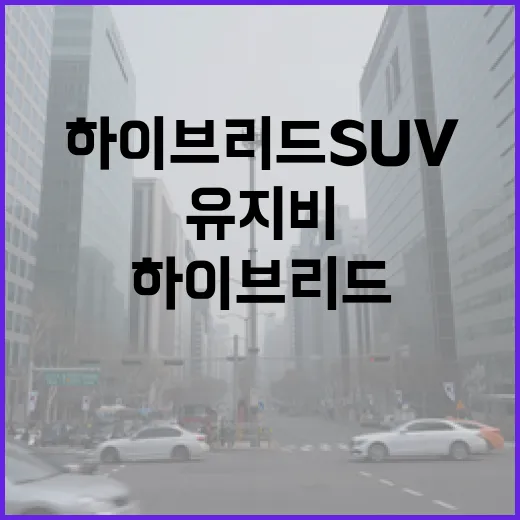 하이브리드 SUV로 통행료와 유지비 아끼려면 이렇게 챙기면 됩니다 - 요약