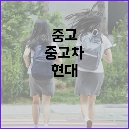 현대중고차 사려면 이렇게 확인하면 덜 헤맨다 - 요약
