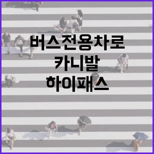 카니발 하이패스·버스전용차로 이용하려면 이렇게 확인하세요 - 요약