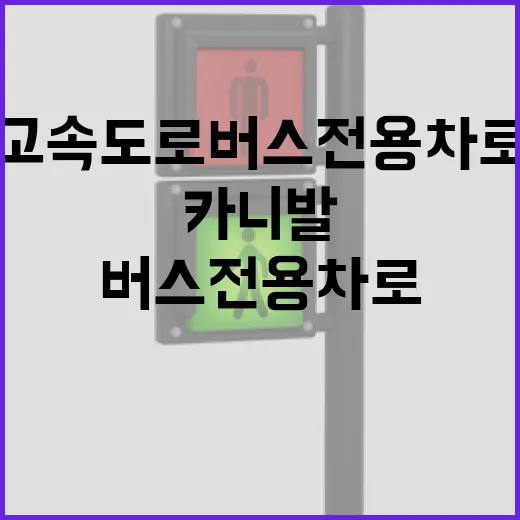 카니발로 고속도로 버스전용차로 타려면 이렇게 확인하세요 - 요약