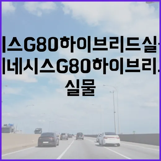 제네시스 G80 하이브리드 실물 리뷰 보려면 이렇게 확인하세요 - 요약