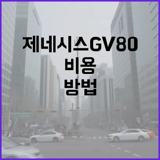 제네시스GV80 하이패스와 교통카드 비용 아끼는 방법 - 요약