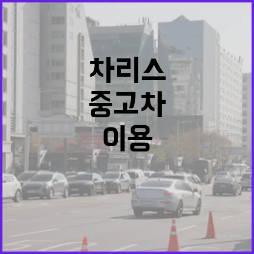 중고차리스 처음 이용하려면 이렇게 확인하세요 - 요약