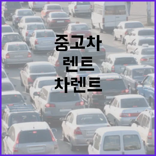 중고차렌트 처음 이용하려면 이렇게 고르세요 - 요약