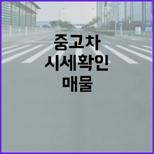 중고차시세 확인하는 방법, 허위매물 피하고 실제 구매가 맞추려면 이렇게 - 요약