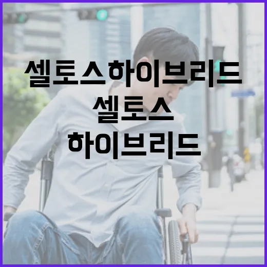 셀토스하이브리드 사기 전에 통행비까지 계산하는 방법 - 요약