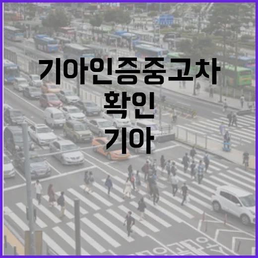 기아인증중고차 사려면 이렇게 보면 됩니다: 가격보다 먼저 확인할 것들 - 요약