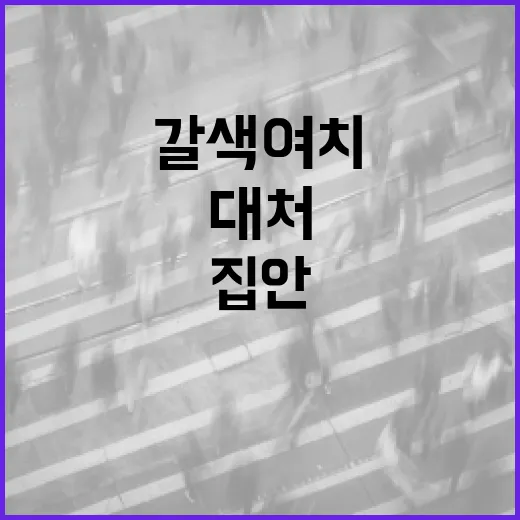 갈색여치 만났을 때 대처하는 방법: 집 안 유입부터 안전한 방생까지 - 요약