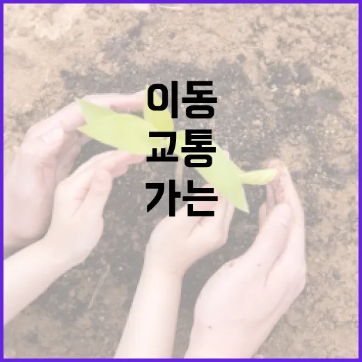 광주제일고에서 배제고 가는 방법, 교통카드·환승까지 덜 헤매는 이동 루트 - 요약