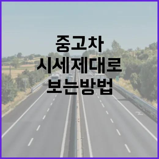 중고차시세 제대로 보는 방법, 출퇴근 비용까지 계산하려면 이렇게 - 요약