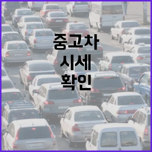 중고차시세 초보자가 손해 덜 보며 확인하는 방법 - 요약