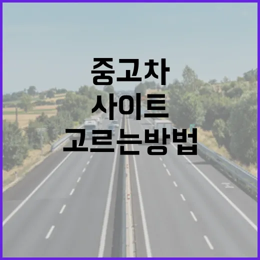 중고차구매사이트 고르는 방법, 출퇴근 비용까지 계산하려면 이렇게 - 요약