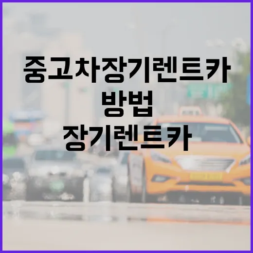 중고차장기렌트카 고르는 방법, 월 납입료보다 먼저 볼 것들 - 요약