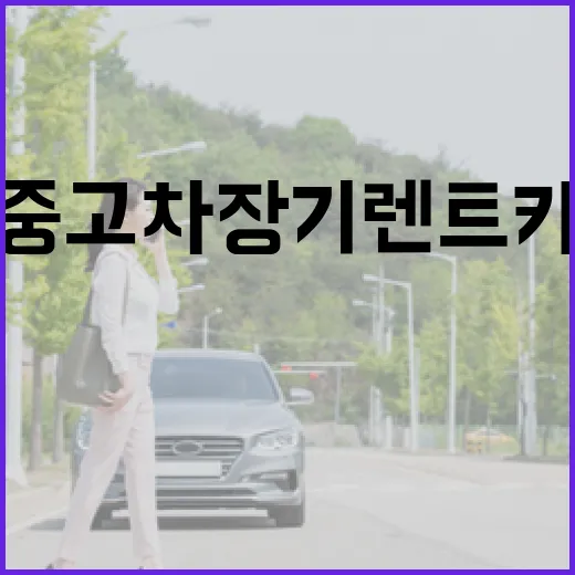 중고차장기렌트카 고를 때 요금 아끼는 방법 - 요약