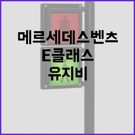 2024 메르세데스-벤츠 E클래스 고를 때 요금·유지비까지 따져보는 방법 - 요약