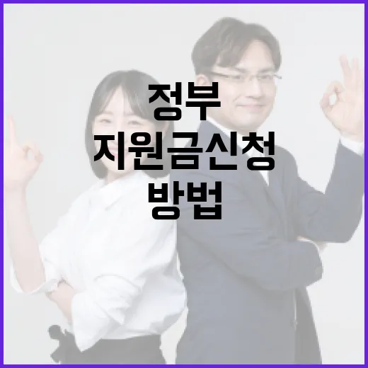 정부지원금신청 처음이라면 이렇게 진행하는 방법 - 요약